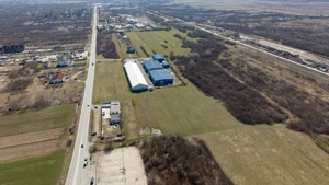 Teren extravilan de 7.000 mp lângă Păltiniș - imagine 2