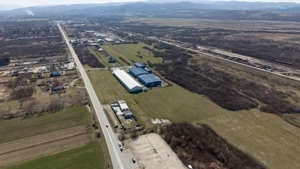 Teren extravilan de 7.000 mp lângă Păltiniș - imagine 13