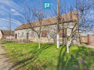 Spațiu comercial de 225 mp în Satu Mare - imagine 2