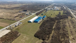 Teren extravilan de 7.000 mp lângă Păltiniș - imagine 10