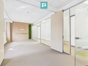 Birouri Ultracentrale, 185,5 mp, Parcare Proprie - imagine 5