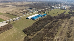 Teren extravilan de 7.000 mp lângă Păltiniș - imagine 11