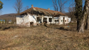 Conac nobiliar de secol XIX cu 8 camere în Maciova - imagine 19