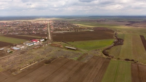 Fermă cu teren intravilan de 35000 mp în Mișca - imagine 4