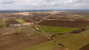 Fermă cu teren intravilan de 35000 mp în Mișca - imagine 7