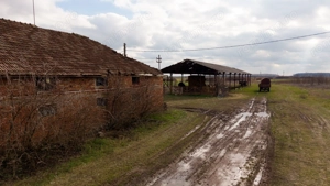 Fermă cu teren intravilan de 35000 mp în Mișca - imagine 14