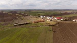 Fermă cu teren intravilan de 35000 mp în Mișca - imagine 10
