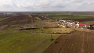 Fermă cu teren intravilan de 35000 mp în Mișca - imagine 9
