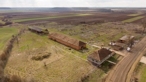 Fermă cu teren intravilan de 35000 mp în Mișca - imagine 12