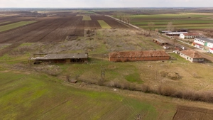 Fermă cu teren intravilan de 35000 mp în Mișca - imagine 13