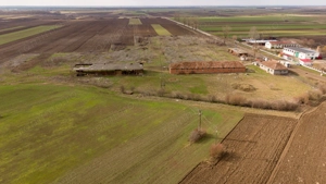 Fermă cu teren intravilan de 35000 mp în Mișca - imagine 16
