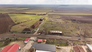 Fermă cu teren intravilan de 35000 mp în Mișca - imagine 20