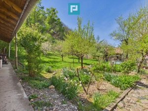 Casă Câmpani, 8000 mp teren, la poalele Apusenilor - imagine 17