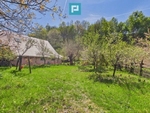 Casă Câmpani, 8000 mp teren, la poalele Apusenilor - imagine 19