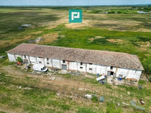 Hală industrială cu teren generos în Zărand, Arad - imagine 7