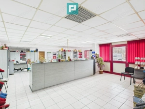 Hală de producție, cu birouri și teren, în Sebiș - imagine 7