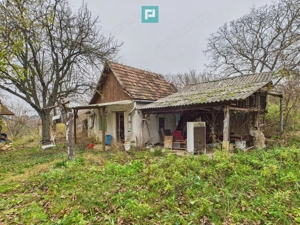 Casă 70 mp în Diosig, 1230 mp teren, cu Crama 25mp - imagine 3