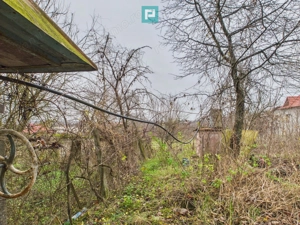 Casă 70 mp în Diosig, 1230 mp teren, cu Crama 25mp - imagine 4
