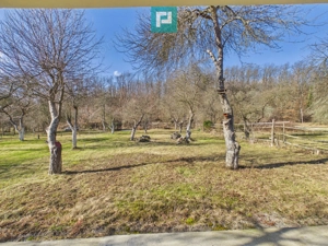 Cabană deosebită cu 4 camere în Căsoaia - imagine 3