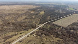 Teren extravilan 95.23 ha lângă Caransebeș - imagine 11