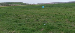 Teren intravilan 35.000 mp – Șag - imagine 6