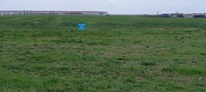 Teren intravilan 35.000 mp – Șag - imagine 5