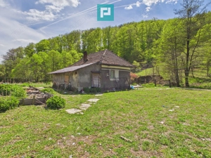 Teren  pentru investiții  în Luncoiu de Jos - imagine 8