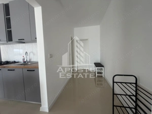 Apartament cu 2 camere, 2 locuri de parcare, etajul 1, in Dumbravita - imagine 5