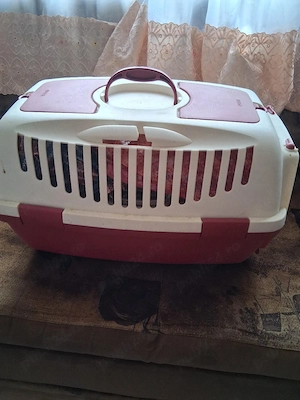 Cușcă pisici