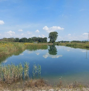 Teren intravilan Hărman 