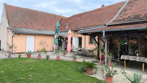 Afacere la cheie in Sanpetru Mare - Timis - imagine 2