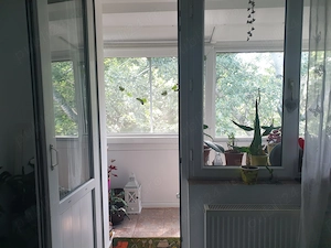 2 camere Pajura