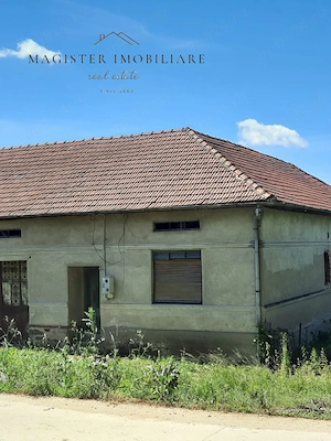 Casa 5 Camere, Teren 1600mp Zorlentu Mare - imagine 7