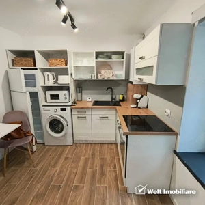 Apartament cu o cameră în vilă, lângă Parcul Central, Grigorescu - imagine 2
