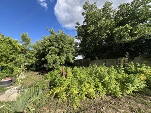  Teren Intravilan 564 mp, front 12 m, regim P+M, utilat - Ciarda Rosie - imagine 3