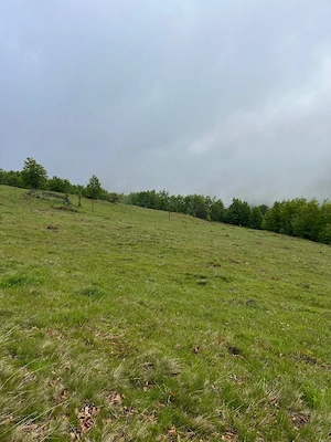     Oportunitate de Investiție: Teren Intravilan 1.5 Ha la 1200m Altitudine   Lângă Pârtia Vârtop  - imagine 2