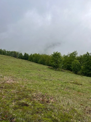     Oportunitate de Investiție: Teren Intravilan 1.5 Ha la 1200m Altitudine   Lângă Pârtia Vârtop  - imagine 3