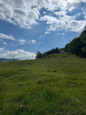     Oportunitate de Investiție: Teren Intravilan 1.5 Ha la 1200m Altitudine   Lângă Pârtia Vârtop  - imagine 4