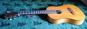 Chitara ruseasca  fretless