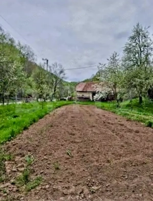Casă cu 3 camere, ideală pentru locuit sau casă de vacanță – Almașu Mare - imagine 8