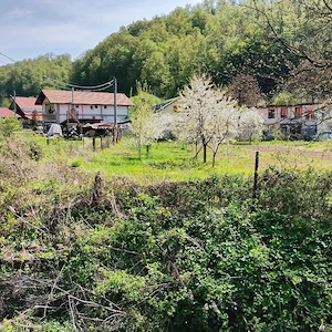 Teren intravilan Moneasa langa tabara de copii  745 mp - imagine 3