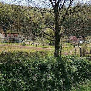 Teren intravilan Moneasa langa tabara de copii  745 mp