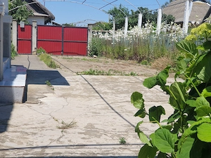 vand casa teren 1853mp Sarichioi, Tulcea