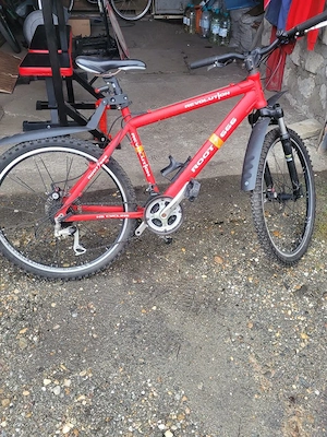 Biciclete pentru toată familia 
