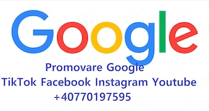 Ceare website ieftin 999 lei