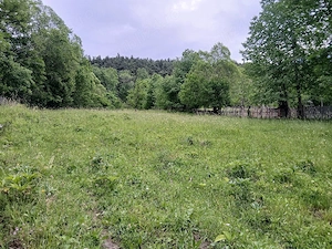 Vand Teren (Valea Doftanei)
