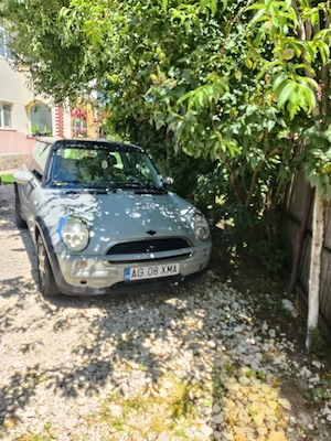 Mini înmatriculată  - imagine 3