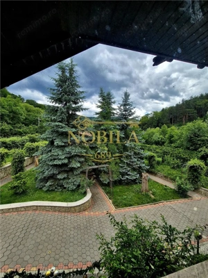 CASA P + M  1 GARSONIERA SI TEREN DE VANZARE IN TARGU OCNA - imagine 2