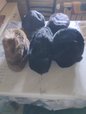 Căciulă barbati