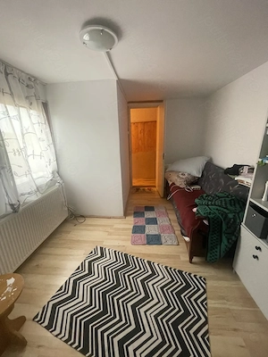 Cabana, casa de vacanta - imagine 5